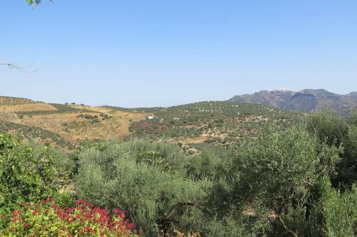 Villa La Molina Del Olivar - Peaceful Location