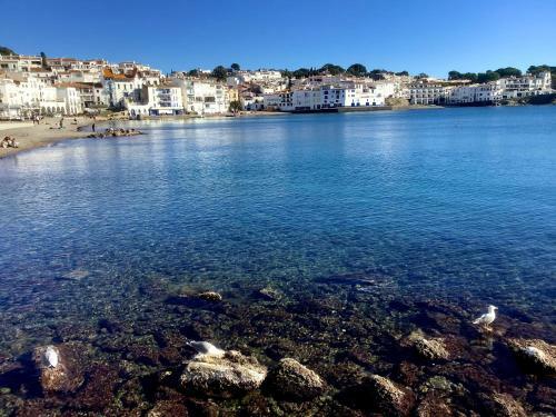 Apartamento Fonoll Mar� - Roses Far