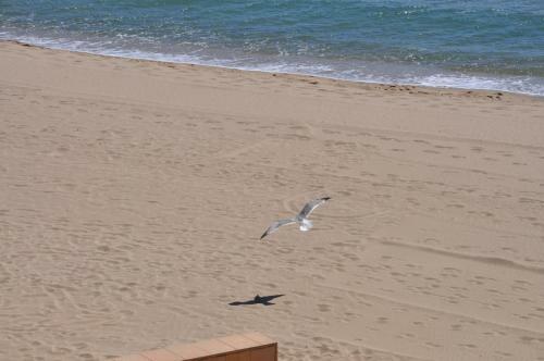 Apartamento 1216 Thalassa Estudio