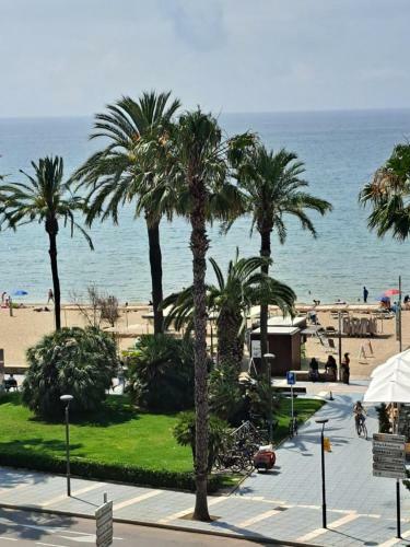 Apartamento 2� L�nea Playa Agustina Aragon