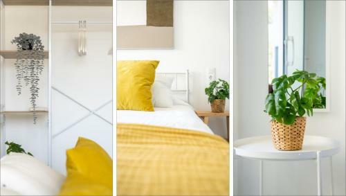 Apartamento Mediterranean Way - La Colina