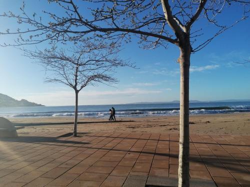 Apartamento Roses, 2 Dormitorios, 5 Personas - Es-258-89