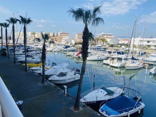 Apartamento Roses, 1 Dormitorio, 4 Personas - Es-228-174