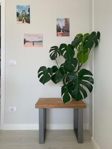 Apartamento El �tico De La R�a