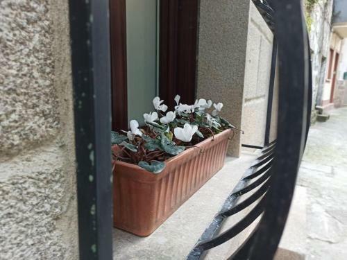 La Casita Del Camino