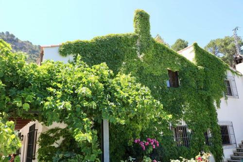 Apartamento Casas Rurales Cortijo El Marqu�s