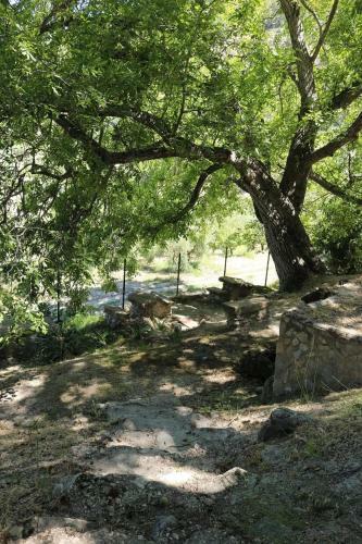 Apartamento Casas Rurales Cortijo El Marqu�s