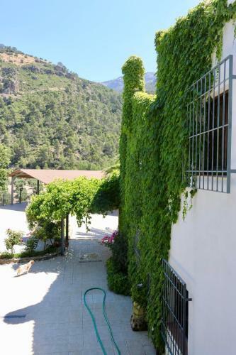 Apartamento Casas Rurales Cortijo El Marqu�s