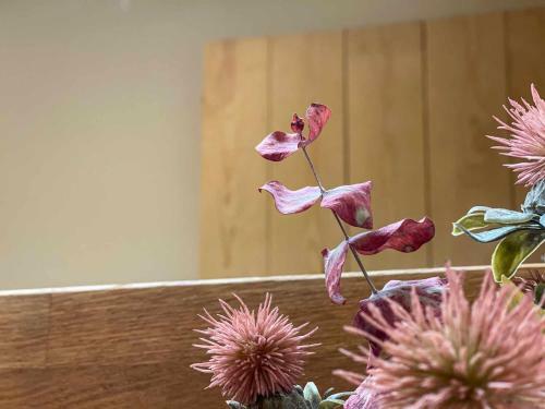 Apartamento Puigcerd� Cal Gatesques 3
