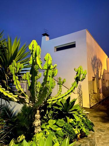 Apartamento Villa Oasis La Paz - Pelinor Studio - Adults Only