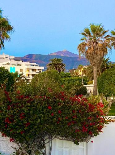 Apartamento Villa Oasis La Paz - Pelinor Studio - Adults Only