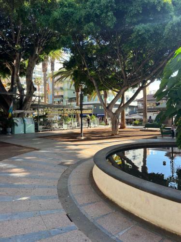 Apartamento Estudio En Plaza Del Charco