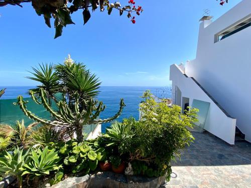 Villa Oasis La Paz - Bencomo Apartment - Adults Only
