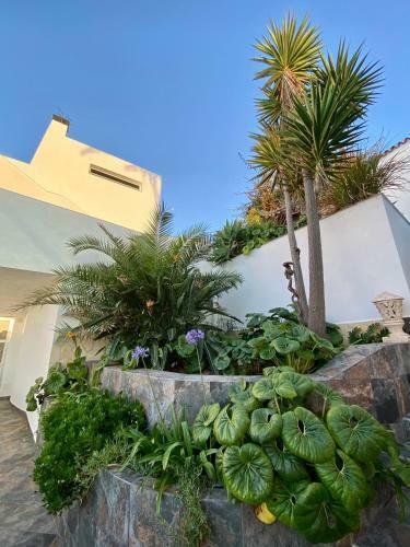 Villa Oasis La Paz - Bencomo Apartment - Adults Only