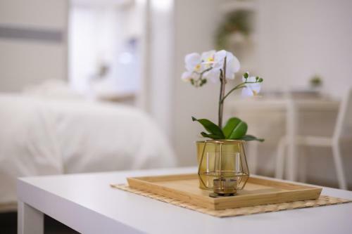 Apartamento Stylish Seaside Studio Casa Jacobo