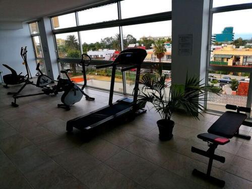 Luxury Apartment "buena Vista"