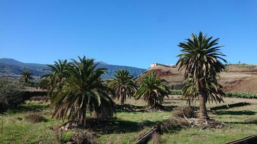 Apartamento Tantulia Las Tapias