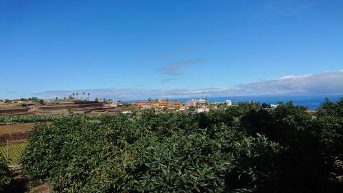 Apartamento Tantulia Las Tapias