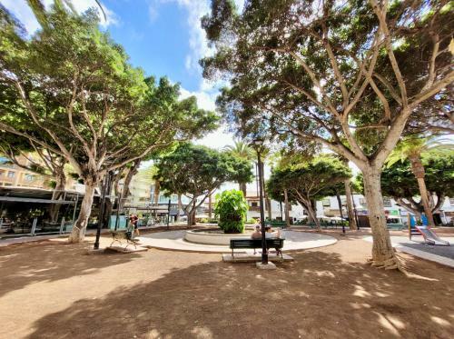 Apartamento Estudio Hortensia