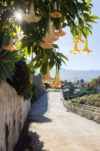 Apartamento Lightbooking Puerto De La Cruz Tenerife