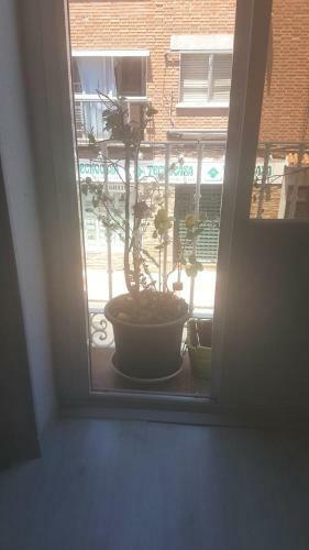 Habitaci�n En Pozuelo De Alarc�n