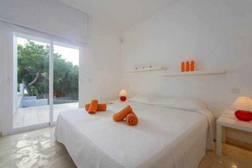 Casa Con Acceso Directo Al Mar Piscina Y Wifi