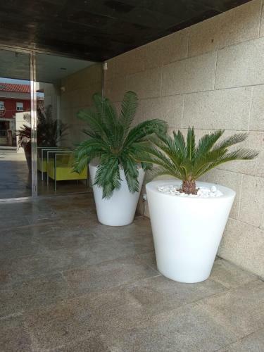 Apartamentos Dezamar Playa