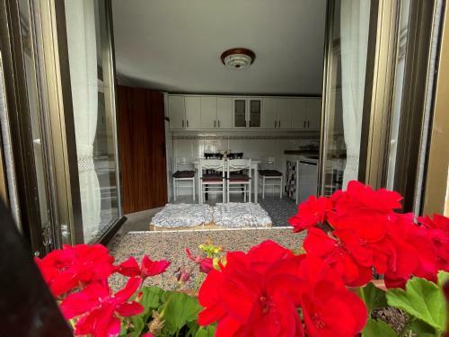 Casa: El Portal�n De Valdivia