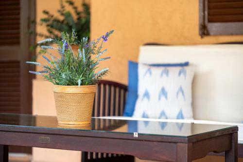 Villa Ca Na Francisca - By Dream Villas Pollensa