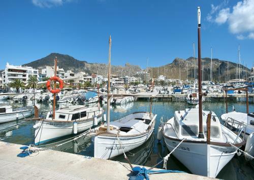 Owl Booking Villa Can Bandera - Rustic Stay