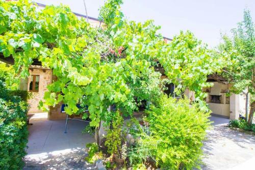Charming Villa With A/c And Wifi