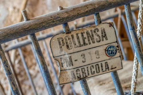 Pollensa - 35024 Mallorca