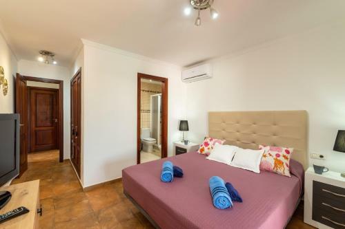 Villa Tropical By Villa Plus