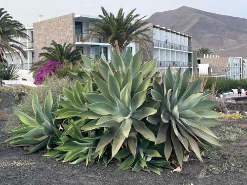 Villa Ariana Playa Blanca