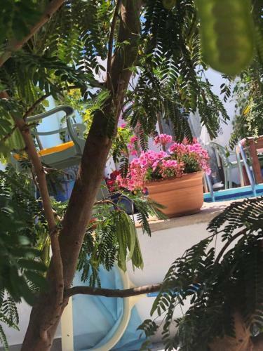 Villa Vistas Del Mar