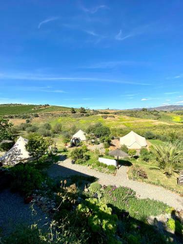 Glamping Bed And Breakfast Finca Alegria De La Vida