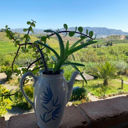 Glamping Bed And Breakfast Finca Alegria De La Vida