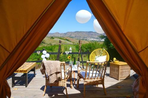 Glamping Bed And Breakfast Finca Alegria De La Vida