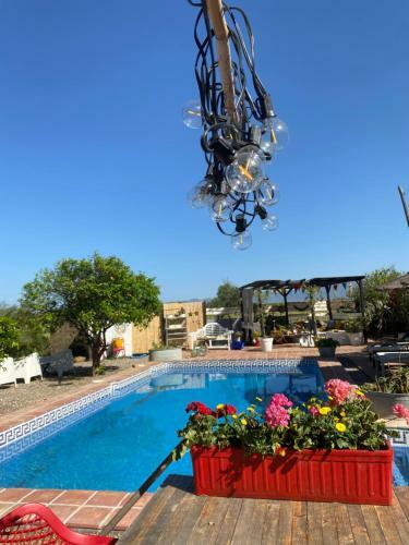 Glamping Bed And Breakfast Finca Alegria De La Vida