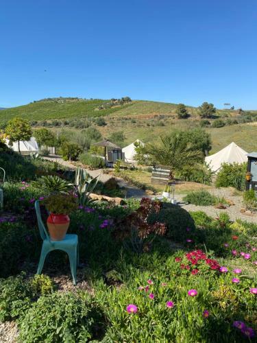 Glamping Bed And Breakfast Finca Alegria De La Vida