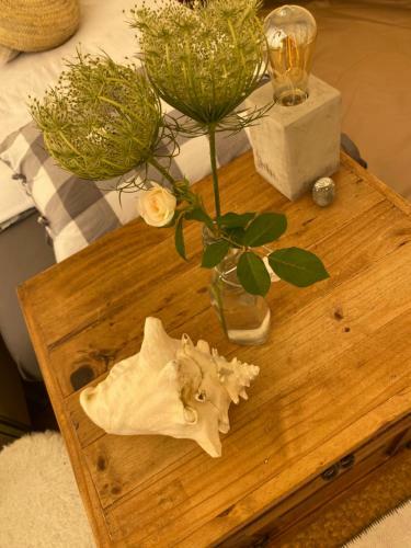 Glamping Bed And Breakfast Finca Alegria De La Vida