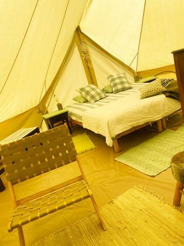 Glamping Bed And Breakfast Finca Alegria De La Vida