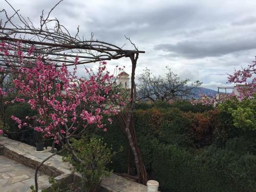 La Casa Rural De Paco Y Ana
