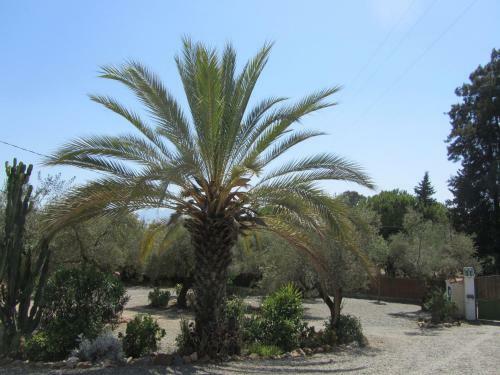 Apartamento La Casa Palmera - Caminito Del Rey