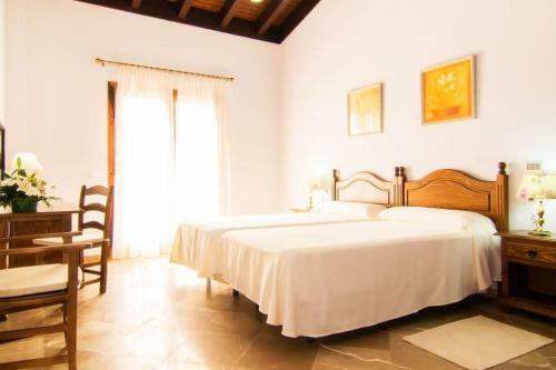 Villa Palmeral In Petra