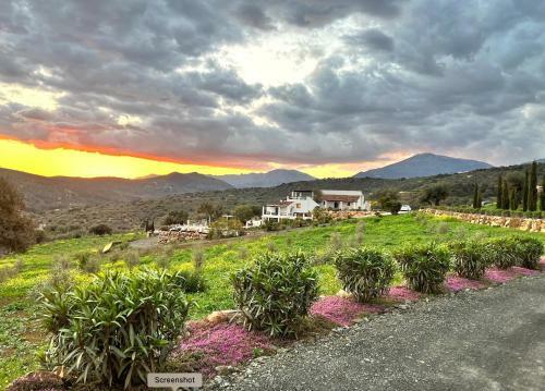 Finca Zayas Whole Estate