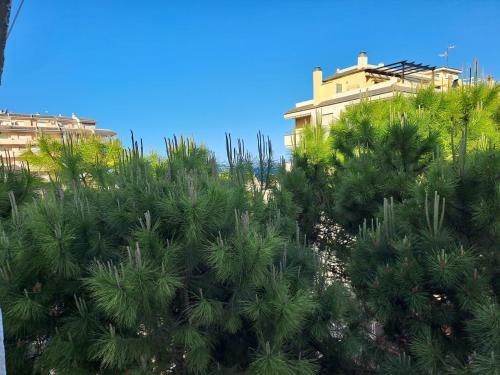 Apartamento Atico Castillo Pe�iscola