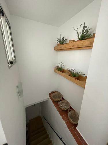 Casa Kika