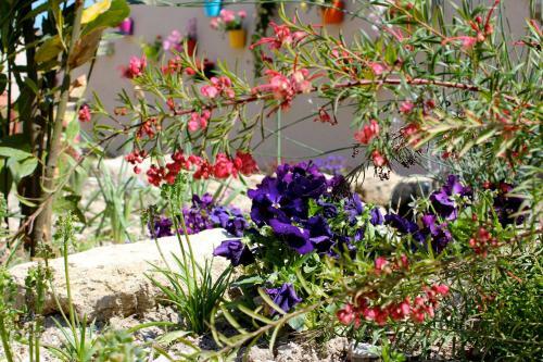 Bed & Breakfast Mas Florylege