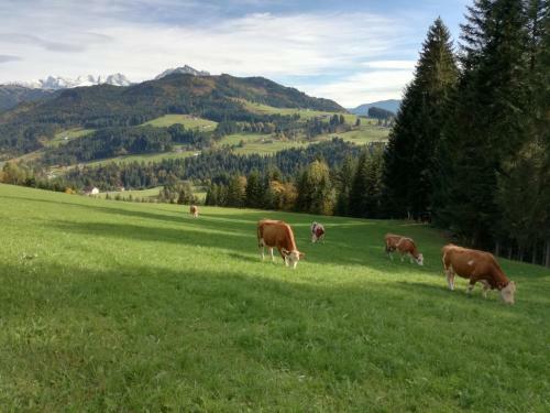 Agroturismo Lammerauhof